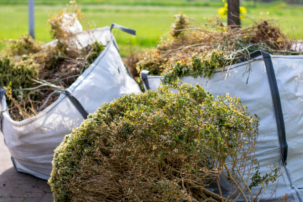 Shed Removal in Salem, IN